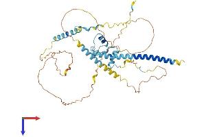 AlphaFold protein structure predicition of Human Recombinant NKAP Protein, UniprotID Q8N5F7