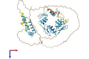 AlphaFold protein structure predicition of Human Recombinant ZSCAN26 Protein, UniprotID Q16670