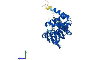 AlphaFold protein structure predicition of Human Recombinant TP53RK Protein, UniprotID Q96S44