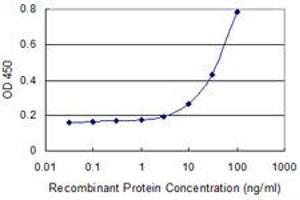 Detection limit for recombinant GST tagged TCN2 is 1 ng/ml as a capture antibody. (TCN2 anticorps  (AA 1-400))