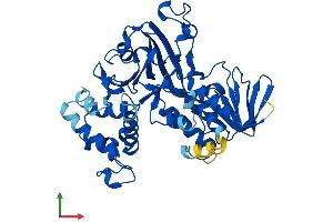AlphaFold protein structure predicition of Mouse Recombinant Gdi1 Protein, UniprotID P50396