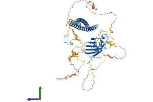AlphaFold protein structure predicition of Mouse Recombinant Palmd Protein, UniprotID Q9JHU2