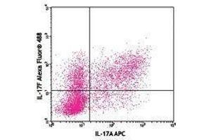 Flow Cytometry (FACS) image for anti-Interleukin 17F (IL17F) antibody (Alexa Fluor 488) (ABIN2657542)