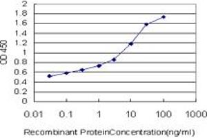 Detection limit for recombinant GST tagged TNXB is approximately 0. (TNXB anticorps  (AA 1-673))