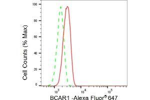 Flow cytometric analysis of BCAR1 expression in H9c2 cells using BCAR1 antibody (ABIN7797791), 1:2,000).