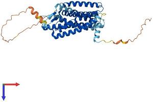 AlphaFold protein structure predicition of Human Recombinant GPR17 Protein, UniprotID Q13304