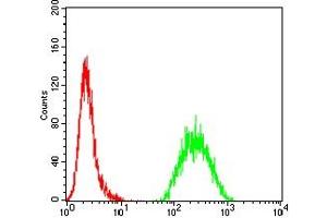 Flow cytometric analysis of Hela cells using MSH6 mouse mAb (green) and negative control (red). (MSH6 anticorps  (AA 374-540))