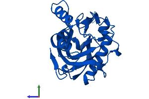 AlphaFold protein structure predicition of Mouse Recombinant Idi1 Protein, UniprotID P58044