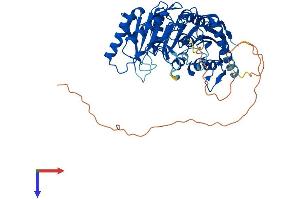 AlphaFold protein structure predicition of Human Recombinant TRMT2B Protein, UniprotID Q96GJ1