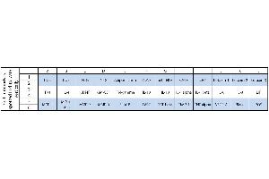 Image no. 1 for Human Neuro Discovery Array C2 (ABIN4955903) (Humain Neuro Discovery Array C2)