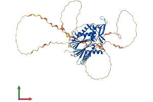 AlphaFold protein structure predicition of Human Recombinant PPM1D Protein, UniprotID O15297