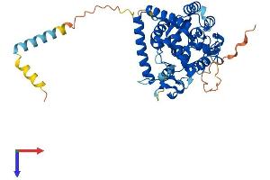 AlphaFold protein structure predicition of Mouse Recombinant Gal3st3 Protein, UniprotID P61315