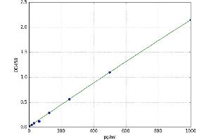 A typical standard curve