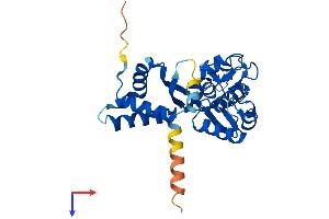 AlphaFold protein structure predicition of Human Recombinant NSMCE1 Protein, UniprotID Q8WV22