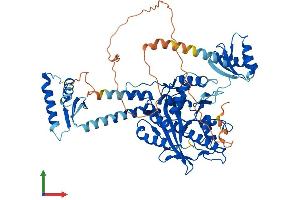 AlphaFold protein structure predicition of Human Recombinant PARN Protein, UniprotID O95453