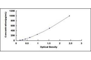 Typical standard curve