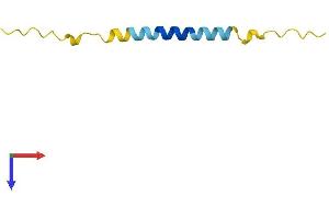 AlphaFold protein structure predicition of Human Recombinant TMA7 Protein, UniprotID Q9Y2S6
