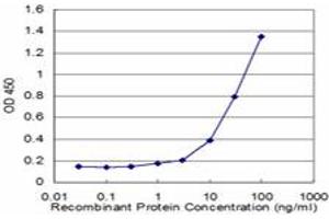 Detection limit for recombinant GST tagged RHOG is approximately 1ng/ml as a capture antibody.