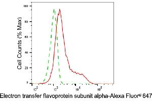 Flow cytometric analysis of Electron transfer flavoprotein subunit alpha expression in HepG2 cells using Electron transfer flavoprotein subunit alpha antibody (ABIN7798431), 1:2,000). (ETFA anticorps)