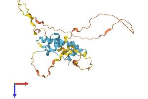 AlphaFold protein structure predicition of Human Recombinant ZNF688 Protein, UniprotID P0C7X2