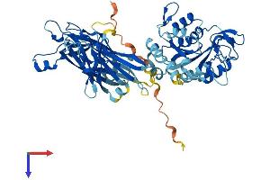 AlphaFold protein structure predicition of Mouse Recombinant Cpne6 Protein, UniprotID Q9Z140