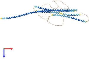 AlphaFold protein structure predicition of Human Recombinant SPDL1 Protein, UniprotID Q96EA4