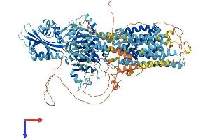 AlphaFold protein structure predicition of Human Recombinant ATP2B3 Protein, UniprotID Q16720