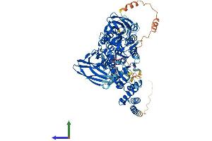 AlphaFold protein structure predicition of Human Recombinant PRMT9 Protein, UniprotID Q6P2P2