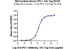 Immobilized Biotinylated Human PD-1, His Tag at 0.