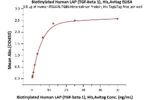 Immobilized Human ITGAV&ITGB6 Heterodimer Protein, His Tag&Tag Free (ABIN2870664,ABIN2870665) at 5 μg/mL (100 μL/well) can bind Biotinylated Human LAP ( 1), His,Avitag (ABIN6731275,ABIN6809946) with a linear range of 0. (TGFB1 Protein (AA 30-278) (His tag,AVI tag,Biotin))