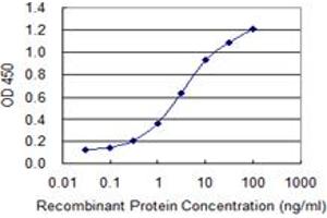 Detection limit for recombinant GST tagged SUMO1 is 0. (SUMO1 anticorps  (AA 1-101))