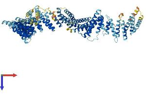 AlphaFold protein structure predicition of Mouse Recombinant Tex11 Protein, UniprotID Q14AT2