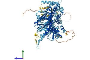 AlphaFold protein structure predicition of Human Recombinant NOX5 Protein, UniprotID Q96PH1