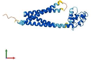 AlphaFold protein structure predicition of Mouse Recombinant Cd151 Protein, UniprotID O35566