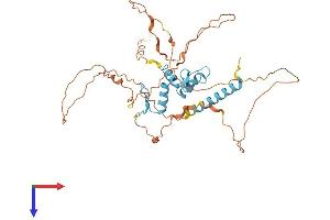 AlphaFold protein structure predicition of Human Recombinant KLF17 Protein, UniprotID Q5JT82
