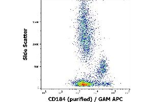 Flow cytometry surface staining pattern of human peripheral whole blood stained using anti-human CD184 (12G5) purified antibody (concentration in sample 0,33 μg/mL) GAM APC. (CXCR4 anticorps)