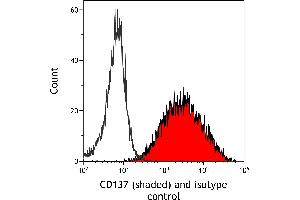 Rabbit anti-Goat IgG (Heavy & Light Chain) antibody (DyLight 488)