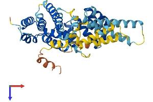 AlphaFold protein structure predicition of Mouse Recombinant Ifit3 Protein, UniprotID Q64345