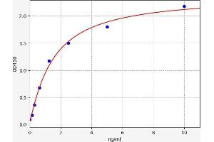 Typical standard curve (FADS3 Kit ELISA)