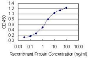 Detection limit for recombinant GST tagged PLRG1 is 0. (PLRG1 anticorps  (AA 101-198))