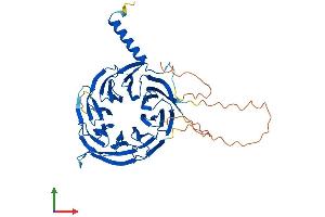 AlphaFold protein structure predicition of Human Recombinant WDR41 Protein, UniprotID Q9HAD4