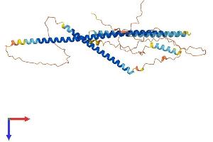 AlphaFold protein structure predicition of Human Recombinant CCDC78 Protein, UniprotID A2IDD5