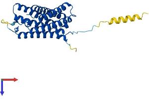 AlphaFold protein structure predicition of Human Recombinant TMEM150C Protein, UniprotID B9EJG8