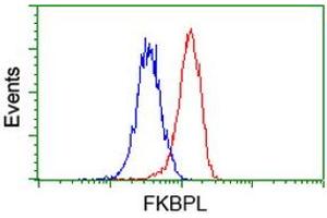 Flow cytometric Analysis of Hela cells, using anti-FKBPL antibody (ABIN2454034), (Red), compared to a nonspecific negative control antibody, (Blue).
