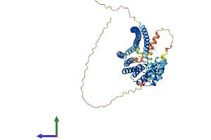 AlphaFold protein structure predicition of Mouse Recombinant Klc3 Protein, UniprotID Q91W40