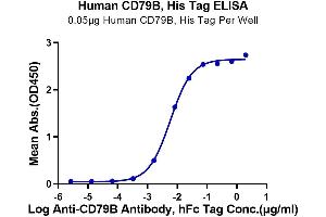 Immobilized Human CD79B, His Tag at 0.