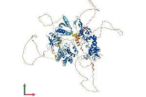 AlphaFold protein structure predicition of Mouse Recombinant Plekhm1 Protein, UniprotID Q7TSI1
