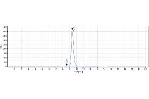 anti-PDCD1 (Geptanolimab Biosimilar) antibody