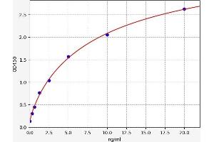 Chemokine (C-C Motif) Ligand 28 (CCL28) ELISA Kit