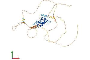 AlphaFold protein structure predicition of Mouse Recombinant Foxd4 Protein, UniprotID Q60688